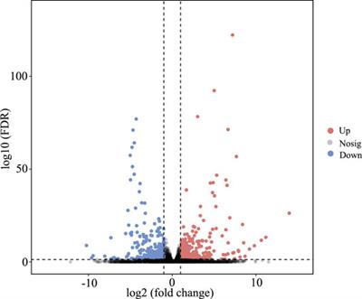 Identification of Potential Blind-Side Hypermelanosis-Related lncRNA–miRNA–mRNA Regulatory Network in a Flatfish Species, Chinese Tongue Sole (Cynoglossus semilaevis)